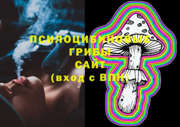 мдпв Абинск