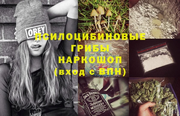 мдпв Абинск